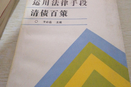 原神讨债人速刷攻略：轻松提升角色实力，高效完成任务